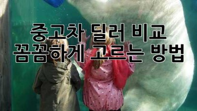 중고차 딜러 비교: 꼼꼼하게 고르는 방법 🚗✨