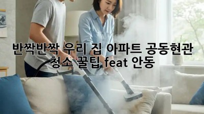 ✨반짝반짝 우리 집✨ 아파트 공동현관 청소 꿀팁 (feat. 안동)🏡